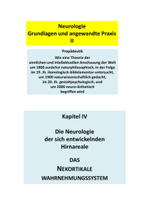 NEUROLOGIE