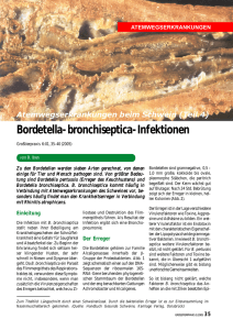 Bordetella-bronchiseptica-Infektionen