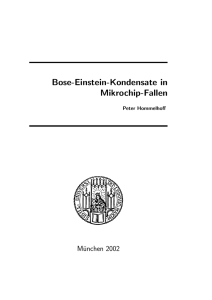 Bose-Einstein-Kondensate in Mikrochip-Fallen