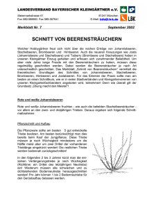 schnitt von beerensträuchern - Landesverband Bayerischer