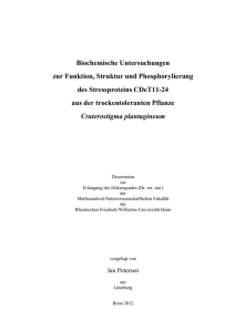 pdf-Dokument - Universität Bonn