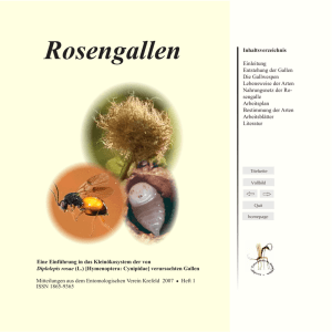 PDF-Datei - Entomologischer Verein Krefeld