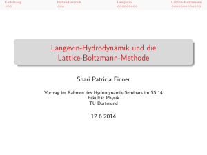 Langevin-Hydrodynamik und die Lattice-Boltzmann