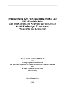 Untersuchung zum Pathogenit&auml;tspotential prim&auml;rer HIV-1