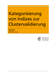 Kategorisierung von Indizes zur Clustervalidierung