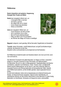 Beschreibung PDF - Elisabeth Süess Gesundheitspraxis