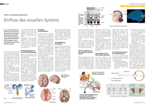 Einfluss des visuellen Systems