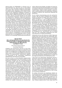 Bericht 2010 über petrographische und geochemische