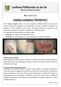 Infoblatt Impetigo contagiosa ("Eiterflechte")