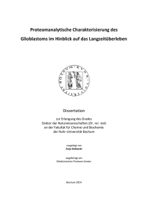 Proteomanalytische Charakterisierung des Glioblastoms im Hinblick