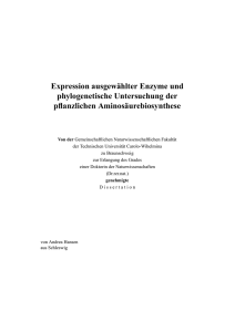 Expression ausgewählter Enzyme und phylogenetische