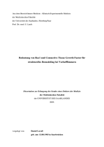 Bedeutung von Rac1 und Connective Tissue Growth Factor für