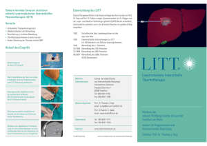 LITT-Flyer - radiologie-uni