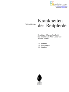 Krankheiten der Reitpferde