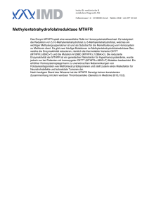 MTHFR Hyperhomocysteinämie (C677T + A1298C)