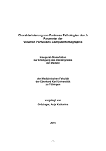 Charakterisierung von Pankreas Pathologien durch Parameter der