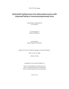 Salmonella Typhimurium live attenuated vaccine - ETH E