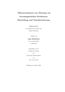 Mikroresonatoren zur Messung von ferromagnetischen Strukturen