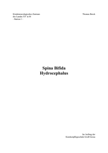 Spina Bifida Hydrocephalus