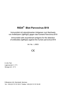 RIDA Blot Parvovirus B19