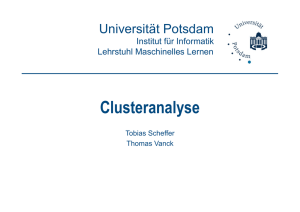 Clusteranalyse - Institut für Informatik