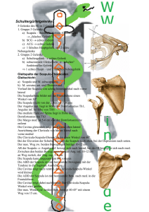 Funktionelle Anatomie