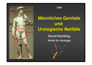 Männliches Genitale und Urologische Notfälle