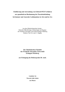 DissertationTheresiaSchulz