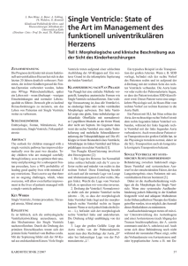 Single ventricle: State of the art in the management of functional