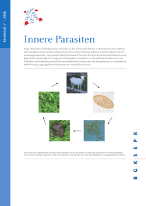 Innere Parasiten