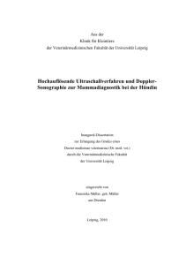 Hochauflösende Ultraschallverfahren und Doppler