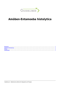 Amöben-Entamoeba histolytica