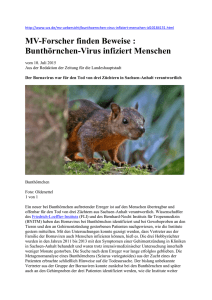 MV-Forscher finden Beweise : Bunthörnchen-Virus infiziert