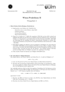 Wima-Praktikum II