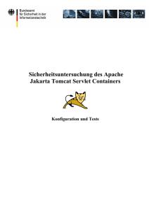 Sicherheitsuntersuchung des Apache Jakarta Tomcat Servlet