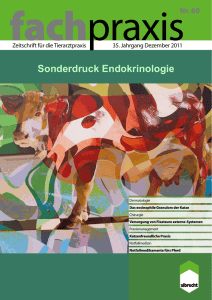 Sonderdruck Endokrinologie