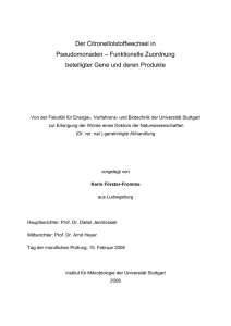 Der Citronellolstoffwechsel in Pseudomonaden – Funktionelle