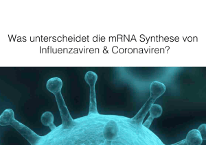 Was unterscheidet die mRNA Synthese von! Influenzaviren