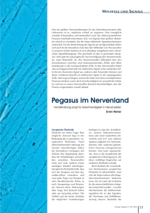 Pegasus im Nervenland (Prof. Dr. Erwin Neher)