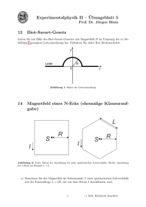 Experimentalphysik II – ¨Ubungsblatt 5 13 Biot-Savart