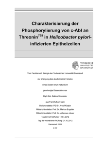 Charakterisierung der Phosphorylierung von c