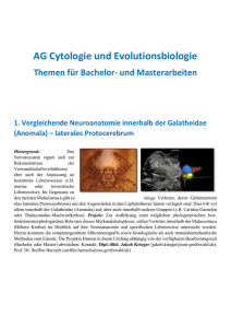 AG Cytologie und Evolutionsbiologie