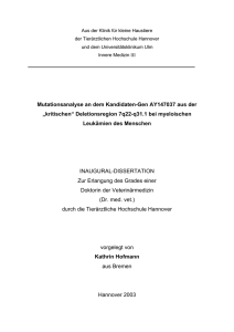 Druckversion Dissertation - Ti