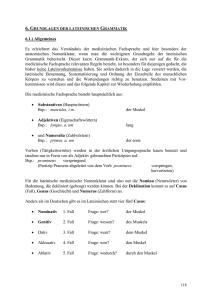 Grundlagen der lateinischen Grammatik