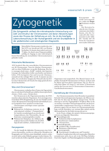 Zytogenetik - biomed