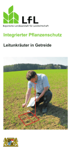 Leitunkräuter Getreide_Internet.cdr