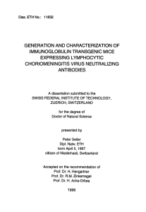 generation and characterization of immunoglobulin transgenic mice