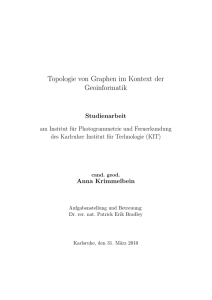 Topologie von Graphen im Kontext der Geoinformatik - IPF