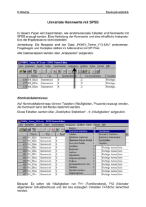 Univariate Kennwerte mit SPSS