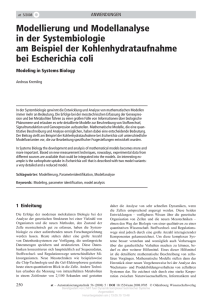 Modellierung und Modellanalyse in der Systembiologie am Beispiel